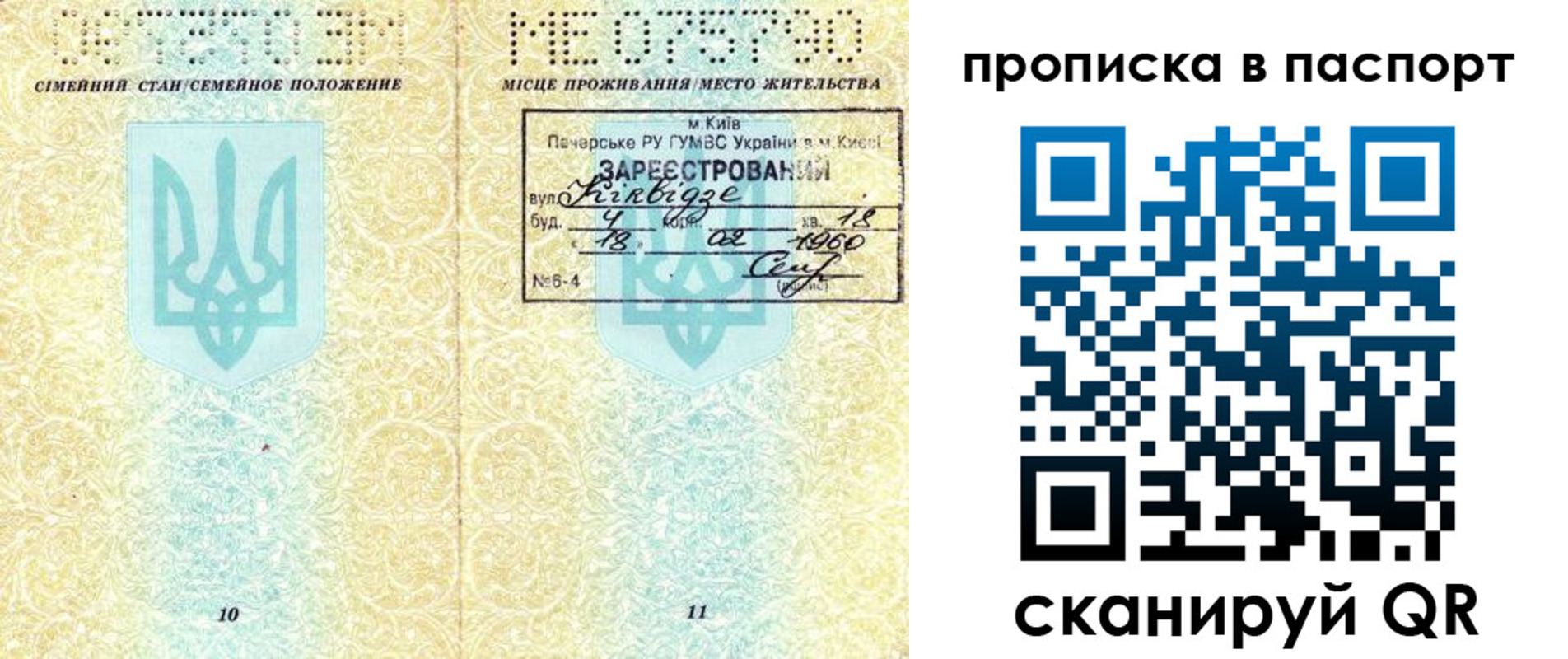 прописка паспорт в Отрадном